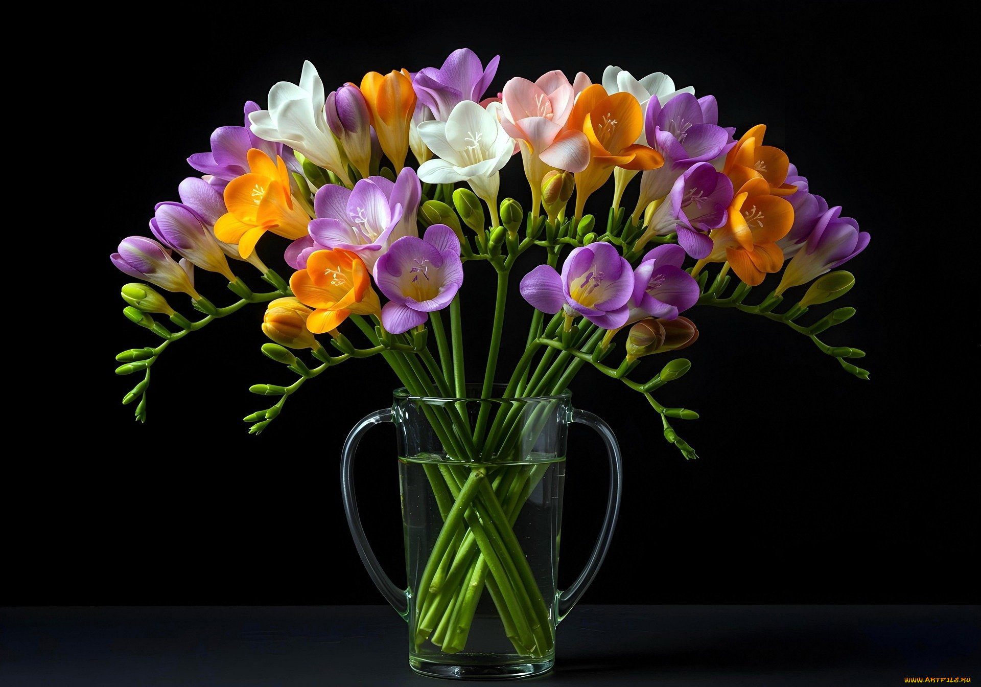 3 ,  , flowers, 